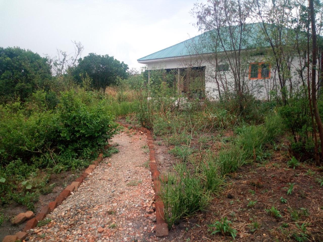 The Elephant Home Katunguru 外观 照片